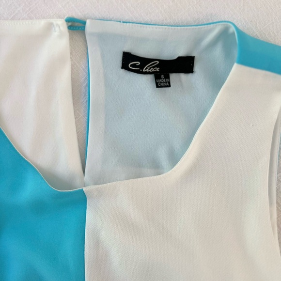 C. Luce Boutique Blue and White Shift Dress - Picture 4 of 8